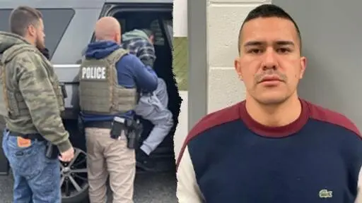 Trump's ICE racks up hundreds of arrests, including illegal immigrants arrested for horror crimes