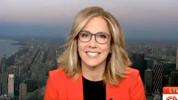 CNN Anchor Alisyn Camerota Speaks Out About Shock Decision to Quit Network