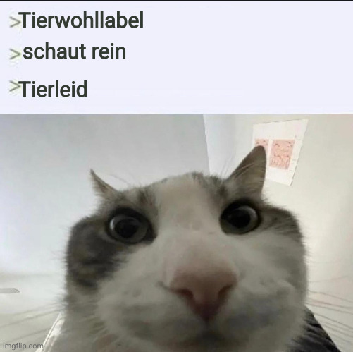 > Tierwohllabel
> schaut rein
> Tierleid