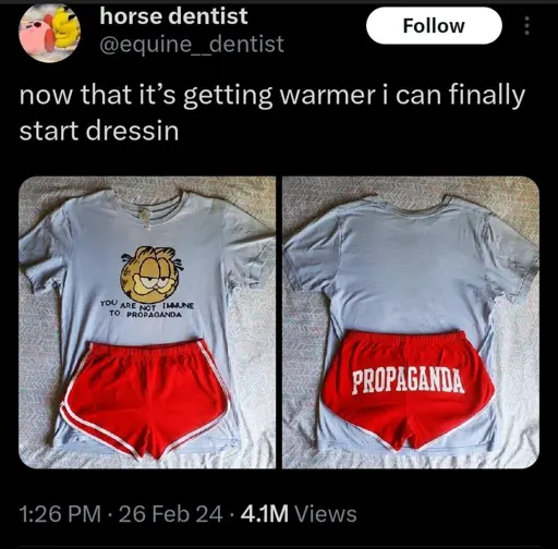 Screenshot of a Twitter post saying "now that's getting warmer I can finally start dressing" and containing 2 pictures of an outfit. Front side has a Garfield's face with "You are not immune to propaganda" text on a gray t-shirt and red dolphin shorts. Back side just has written "propaganda" on said shorts