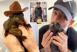 P'nut the Squirrel, beloved pet and internet sensation, put to death by New York State