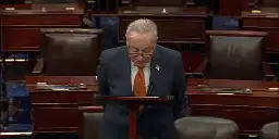 Schumer: Return to 1,547-page spending bill to avoid shutdown | Fox News Video