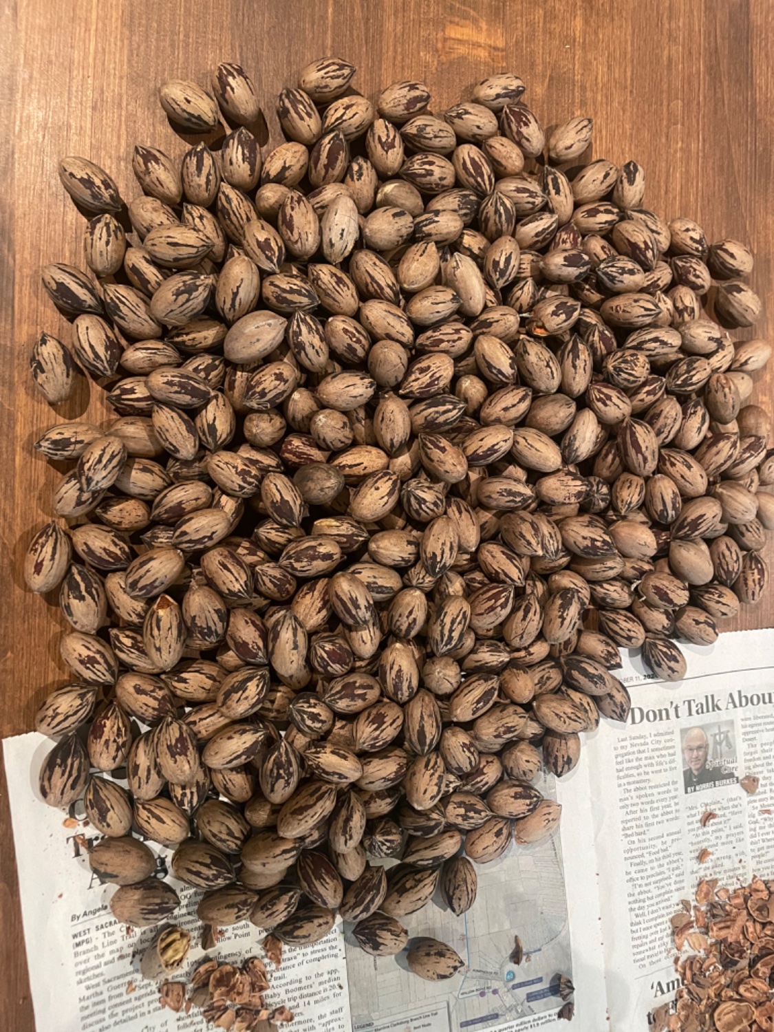 A pile of pecans, unshelled