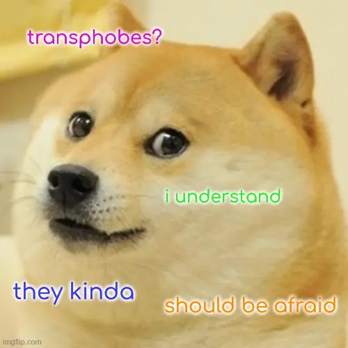 <image of doge> transphobes? i understand. they kinda should be afraid