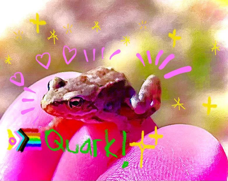 Photo of a small frog sitting on a hand, heavily pink tinted image with drawn sparkles on it, some green drawn text saying "Quark" and a drawn pride flag. There are also some drawn pink hearts and lines emphasizing the frogs agility