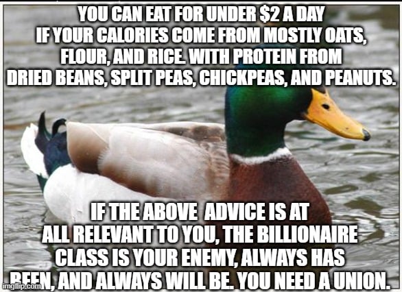 You can eat for under $2 a day if your calories come mostly from oats, flour and rice with protein from dried beans, split peas, chickpeas and peanuts. If the above is at all relevant to you, the billionaire class is your enemy, always has been, and always will be. You need a union.