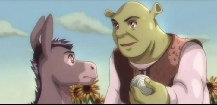 anime style shrek showing anime style donkey an onion