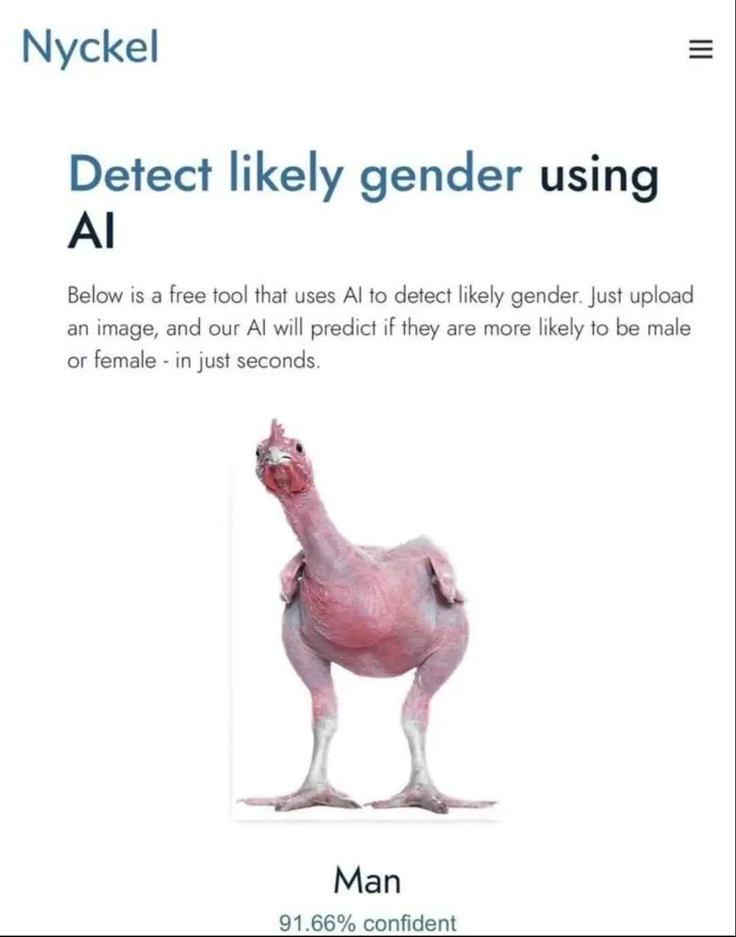 Text: "Detect likely gender using AI. Below is a free tool that uses AI to detect likely gender. Jusrt upload an image, and our AI will predict if they are more likely to be male or female - in just seconds."  The image is of a featherless rooster, labeled: "Man - 91.66% confident".