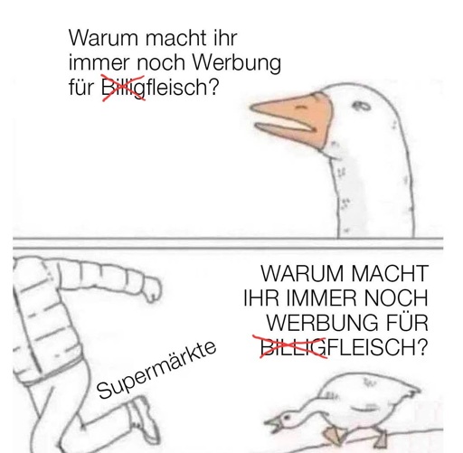 Eine Gans fragt: "Warum macht ihr immer noch Werbung für Billigfleisch?". In der Frage ist das "Billig" rot durchgestrichen.

Im zweiten Bild fragt die Gans dasselbe mit mehr Nachdruck, alle Buchstaben sind dabei groß geschrieben. Von der Gans wegrennend sieht man eine Person, die mit "Supermärkte" betitelt ist.