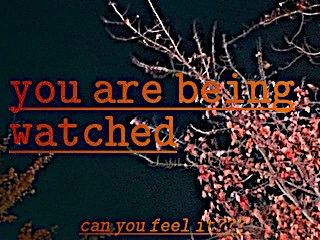 Branches clawing at the dark sky with a warning in orange text reading "you are being watched. can you feel it???"