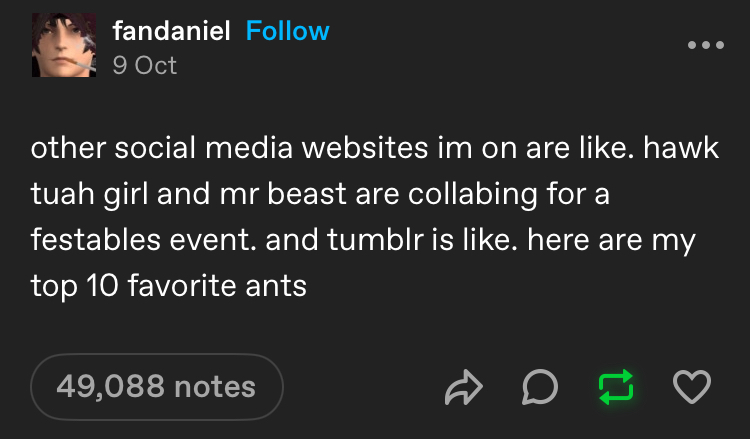 Tumblr post from fandaniel, reading "other social media websites im on are like. hawk tuah girl and mr beast are collabing for a festables event. and tumblr is like. here are my top 10 favorite ants"