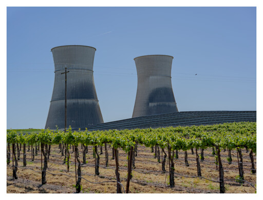 Two large cooling towers from a decommissioned nuclear plant, there are some solar panels up near the bottom of the towers and a vineyard growing around.