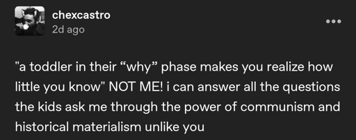 Tumblr post by user chexcastro reading "a toddler in their 'why' phase makes you realize how little you know" NOT ME! i can answer all the questions the kids ask me through the power of communism and historical materialism unlike you