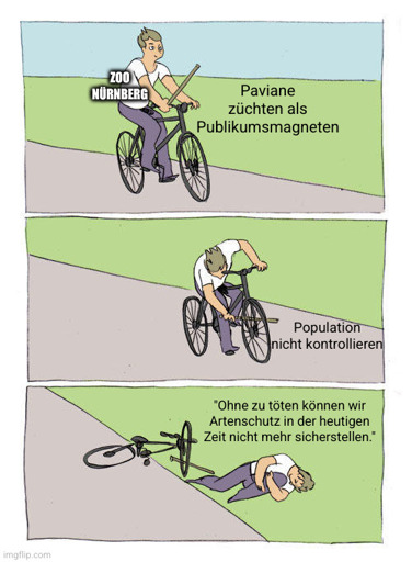 Meme, bei dem sich eine Person auf dem Fahrrad selbst einen Stock in die Speichen steckt und hinfällt.

Die Person ist in diesem Fall der Zoo Nürnberg.

1. Paviane züchten als Publikumsmagneten

2. Population nicht kontrollieren

3. "Ohne zu töten können wir Artenschutz in der heutigen Zeit nicht mehr sicherstellen."
